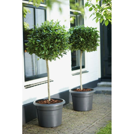 Elho Green Basics Cilinder 40 Living Black