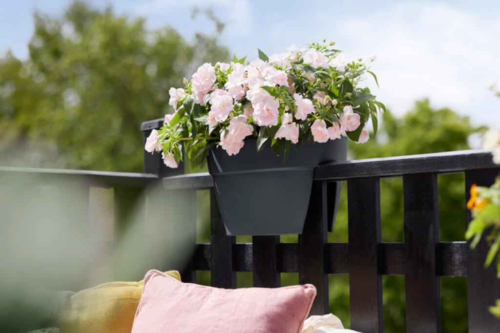 Elho Vibia Campana Flower Bridge 40 Anthraciet