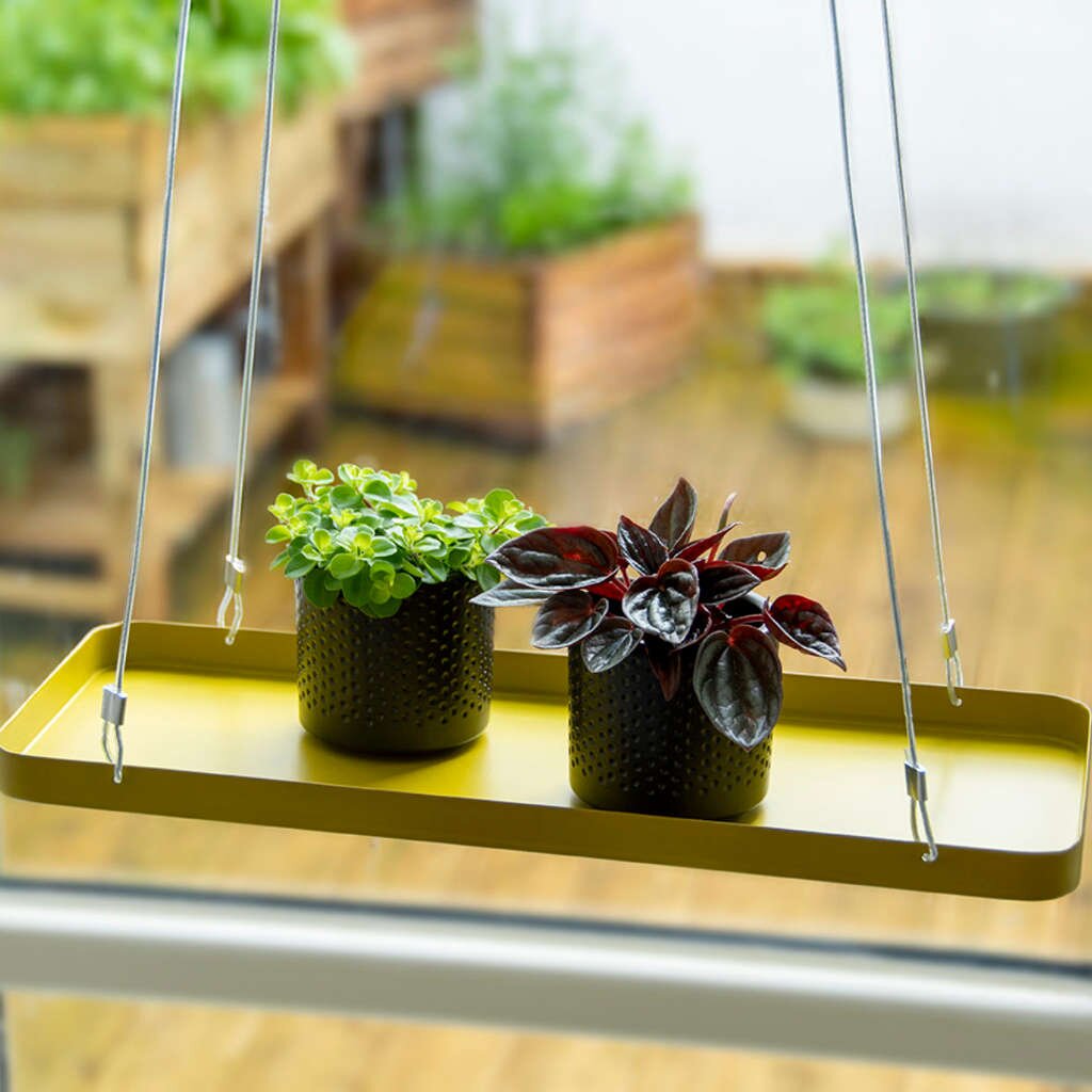 ESSCHERT DESIGN Plantenplateau Hanger 15x38 Cm Goud