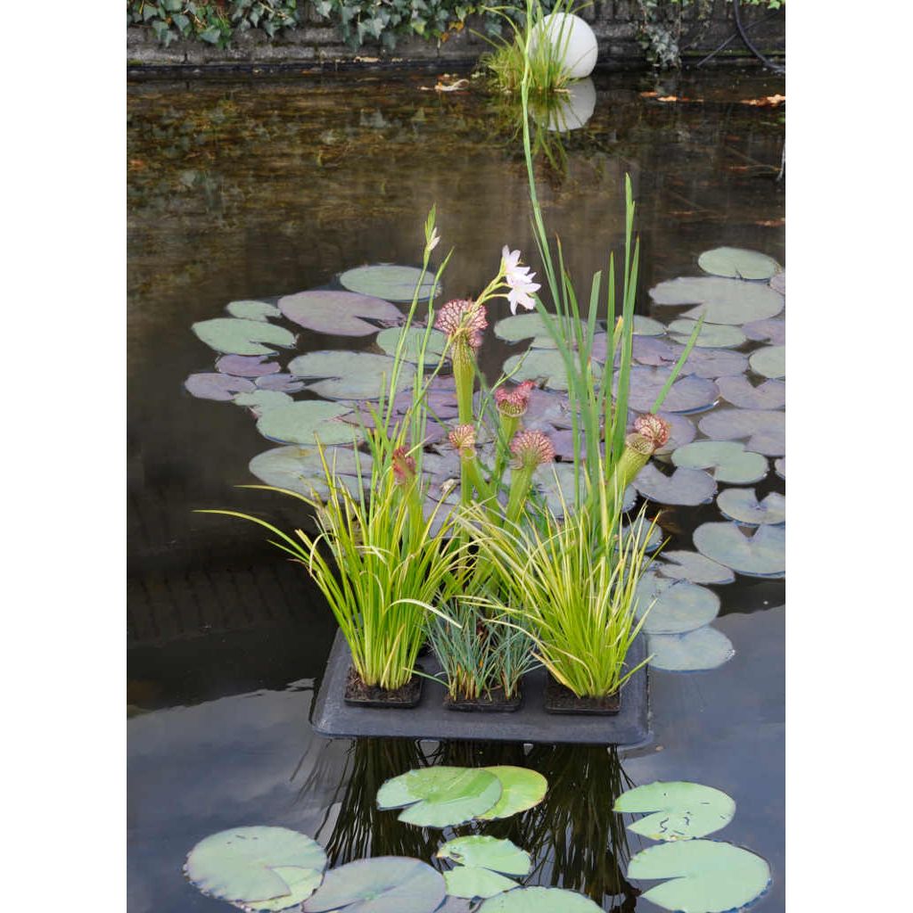Velda Floating Islands Large