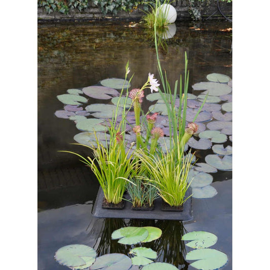 Velda Floating Islands Large