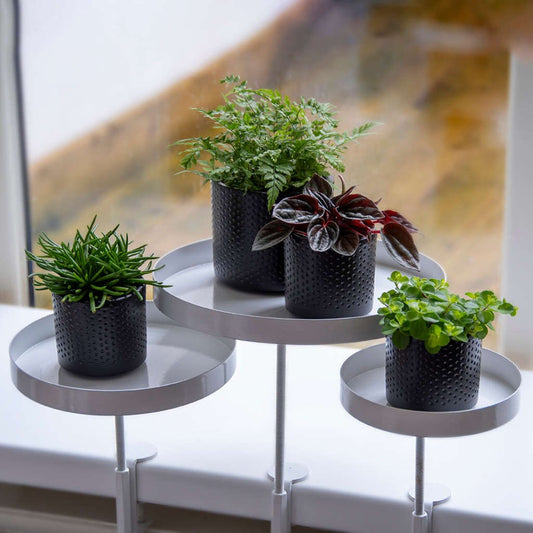 ESSCHERT DESIGN Vensterbankklem Met Plateau Wit S