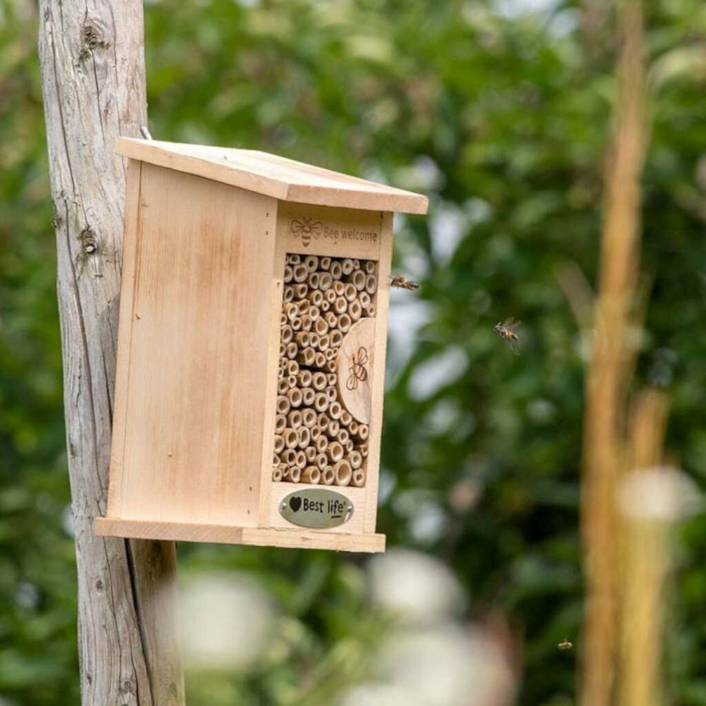 Vogelbescherming Insectenhuis Fernandina