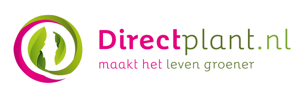Direct Plant Winkel