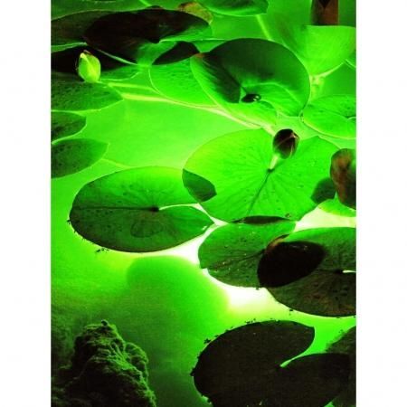  Ubbink Aqualight 30 Led Onderwaterverlicht