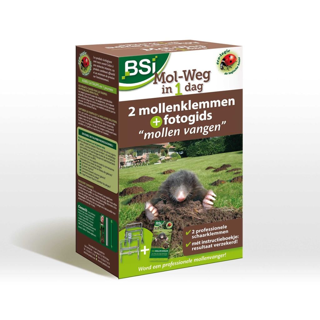  BSI Mol Weg In 1 Dag