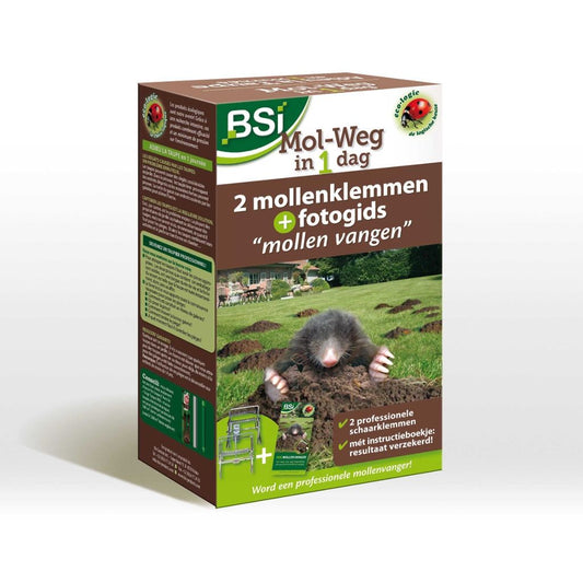  BSI Mol Weg In 1 Dag