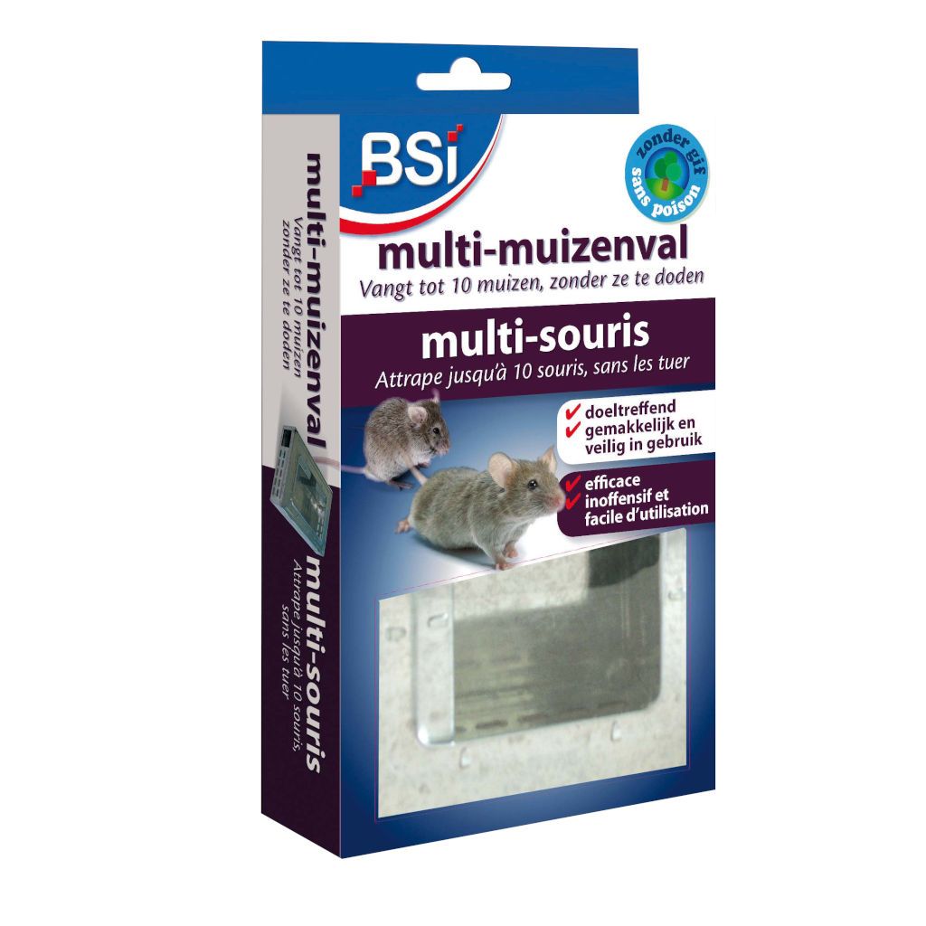 BSI Multi Muizenval