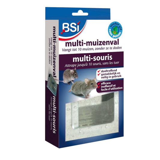  BSI Multi Muizenval