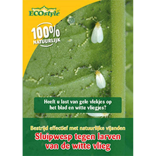 Ecostyle Sluipwesp Tegen Larven Witte Vlieg