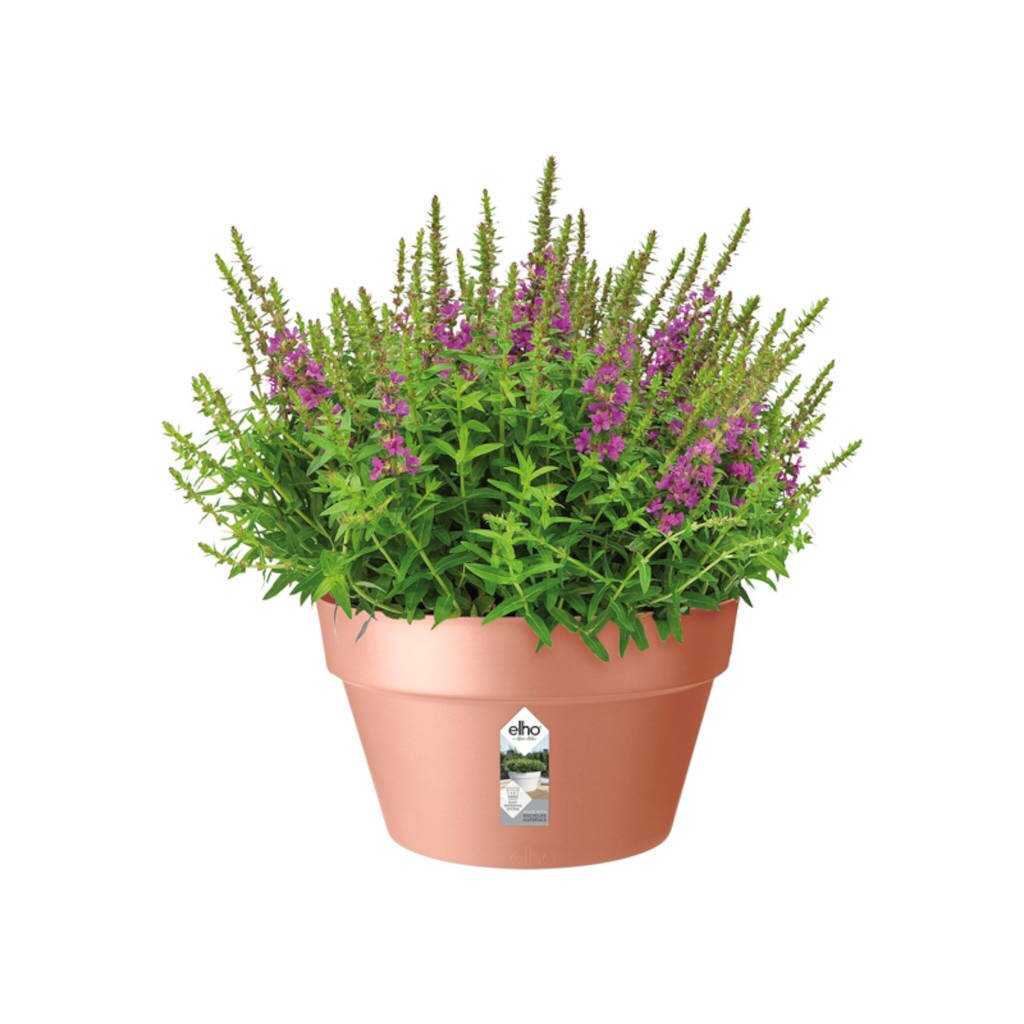  Elho Loft Urban Bowl 35 Delicate Pink