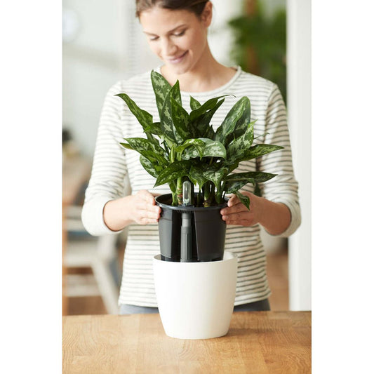  Elho Self-watering Insert 36 Living Black