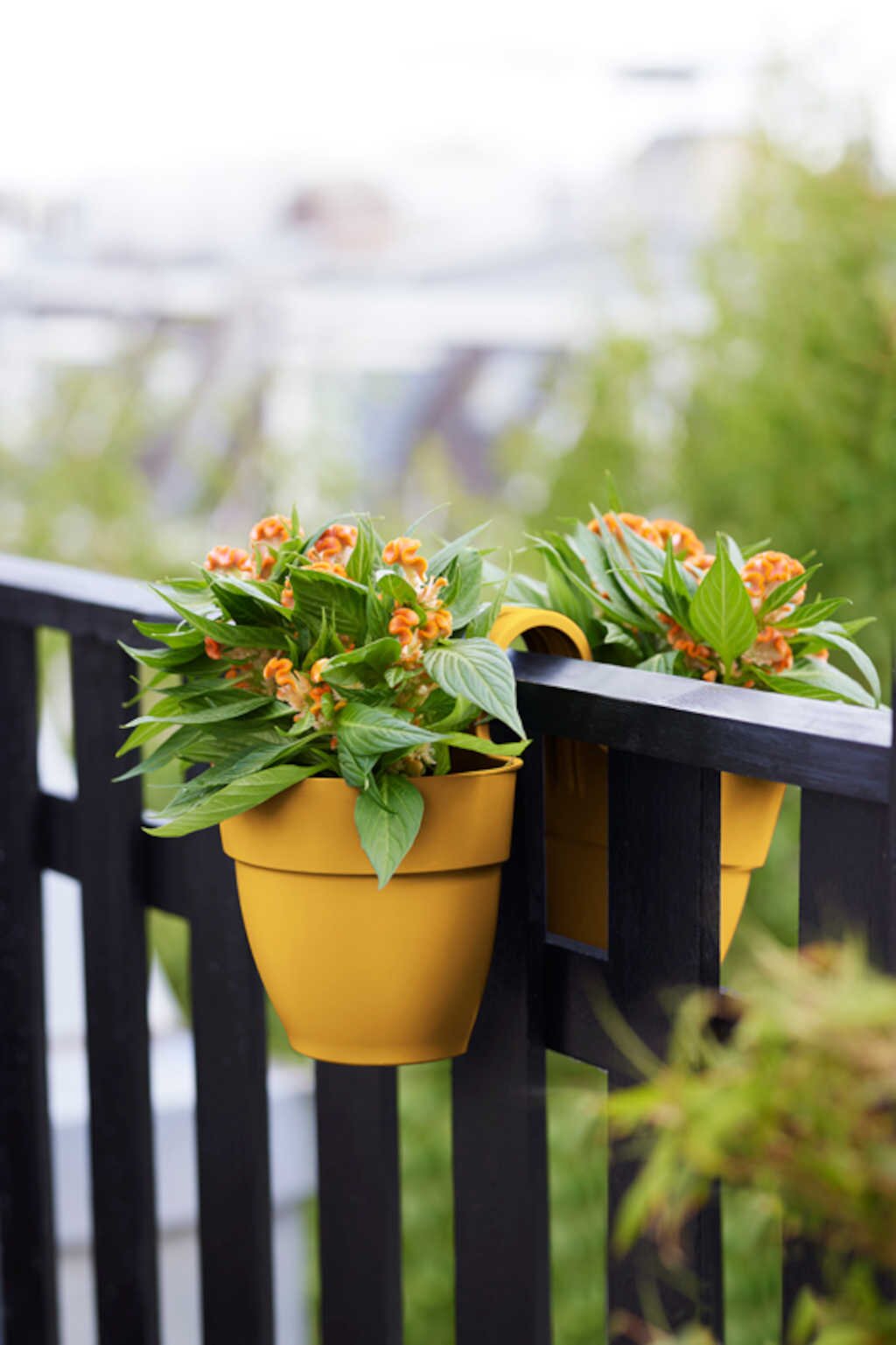  Elho Vibia Campana Flower Twin 21 Honinggeel