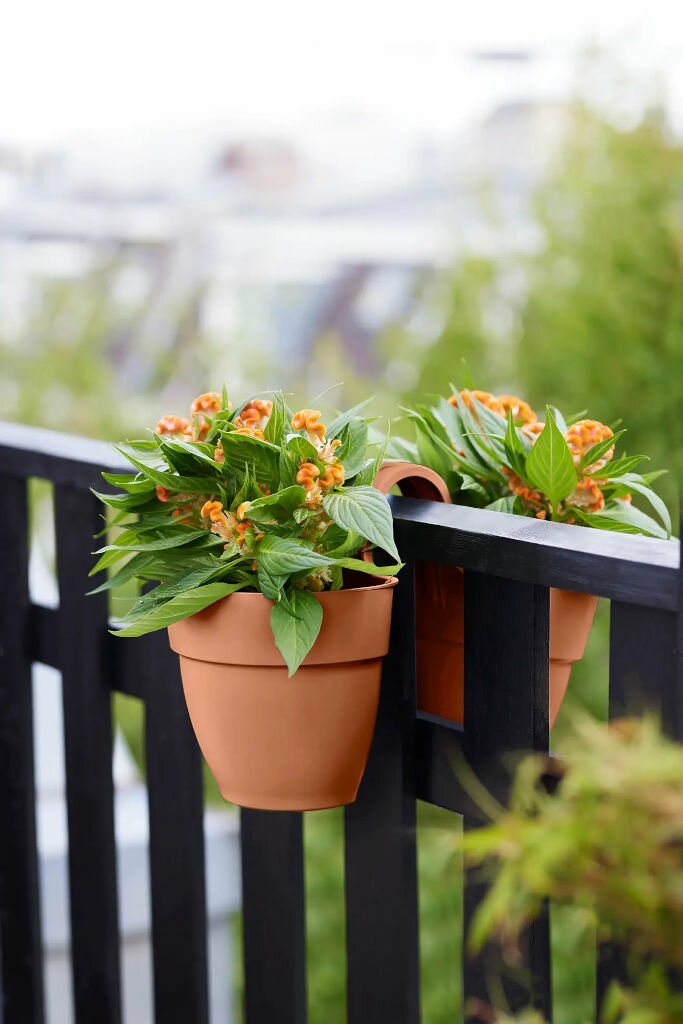  Elho Vibia Campana Flower Twin 21 Terra