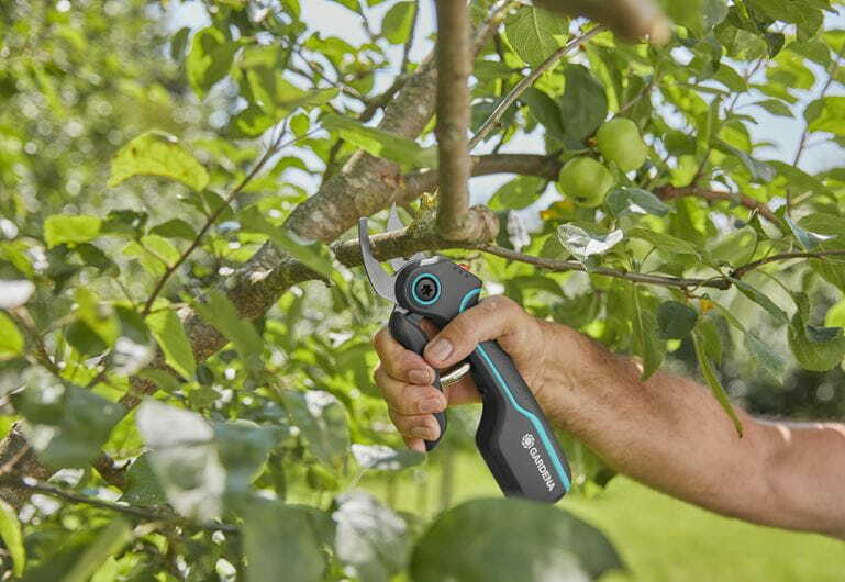  Gardena Assistcut