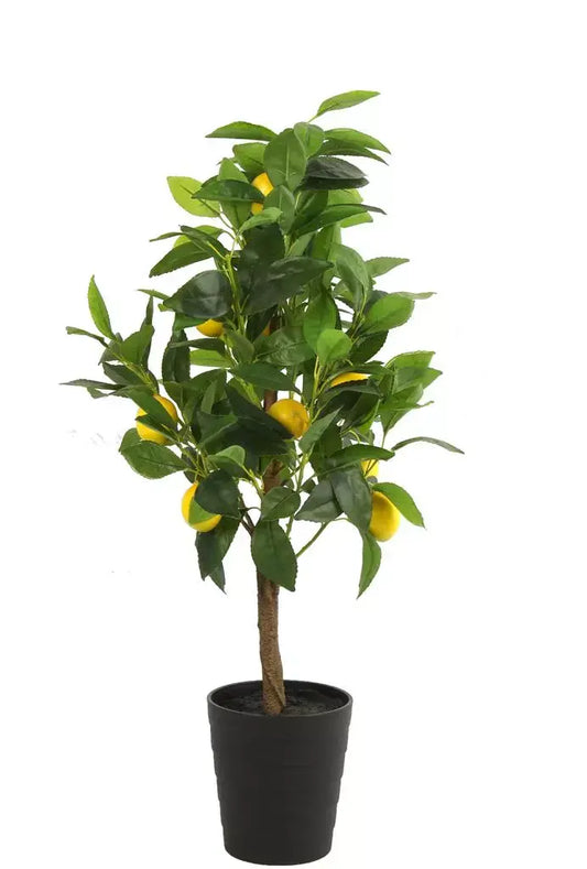  Mica Citrus Limon Zijde 75 Cm Geel