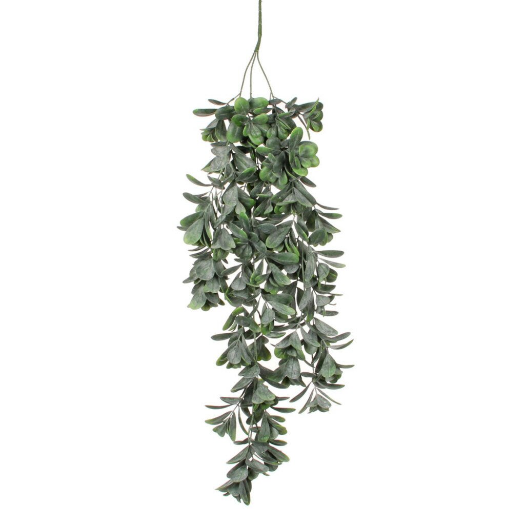  Mica Crassula Hang 79 Cm Groen