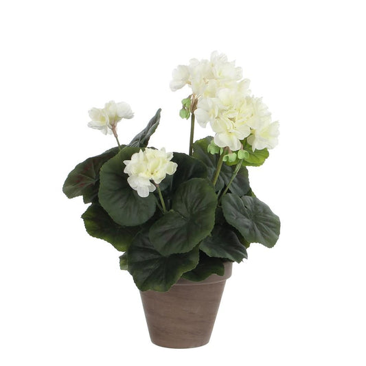  Mica Geranium Groot Creme
