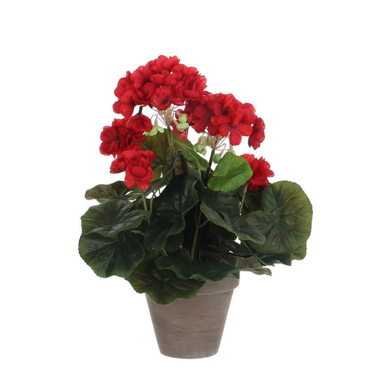  Mica Geranium Groot Rood