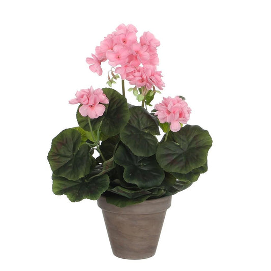  Mica Geranium Groot Roze