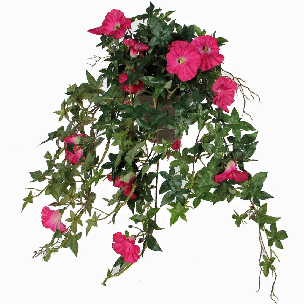  Mica Hang Petunia Diep Roze