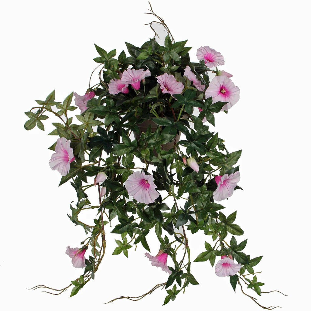  Mica Hang Petunia Roze
