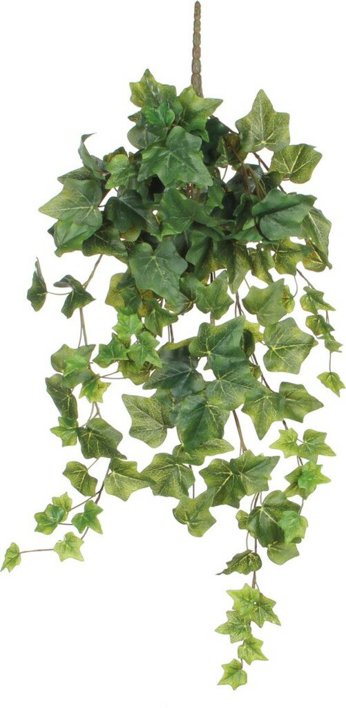  Mica Hedera Hang 71 Cm Groen