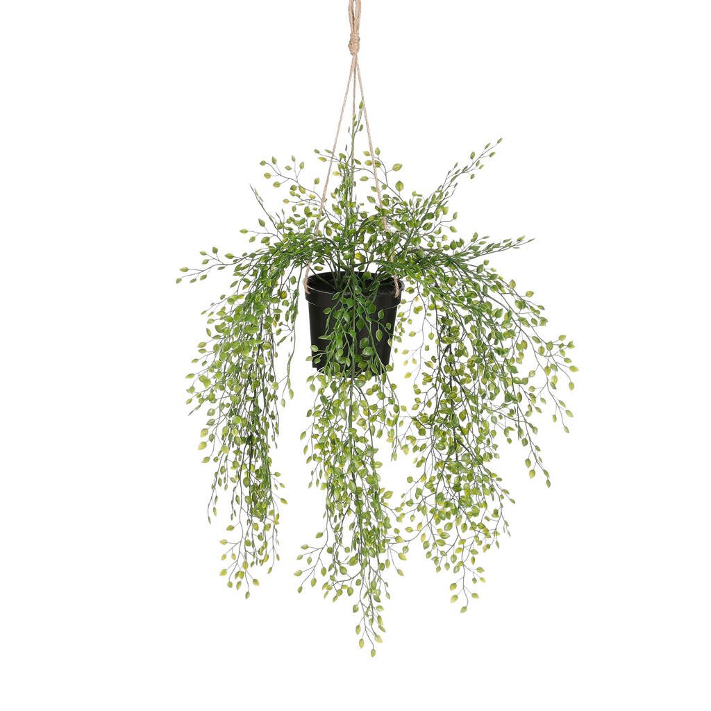  Mica Jasmine Hang Groen