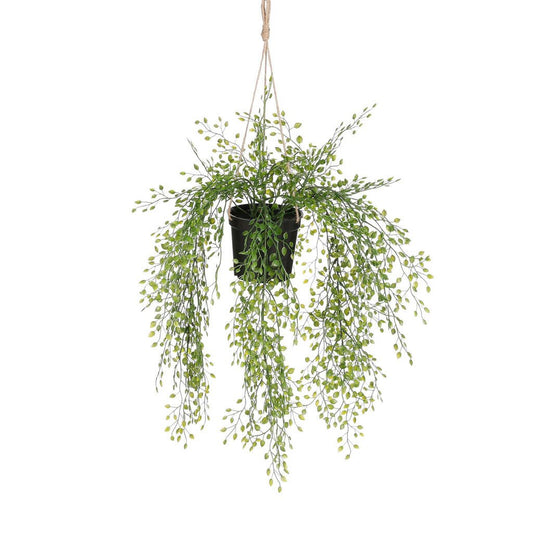  Mica Jasmine Hang Groen