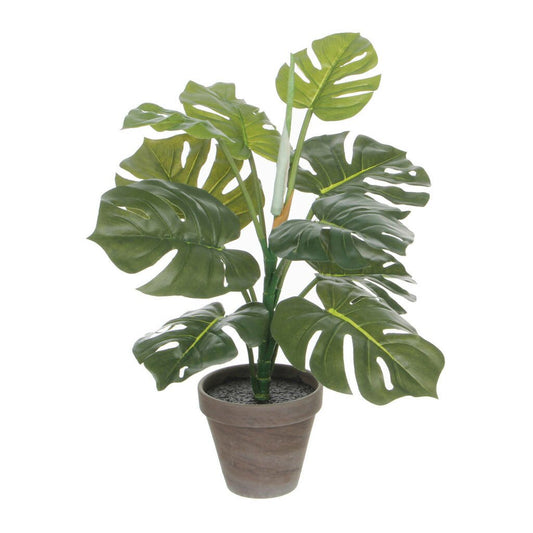  Mica Monstera Groen