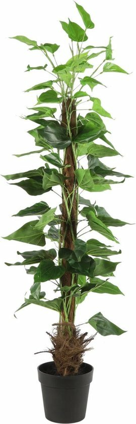  Mica Philodendron 140 Cm Groen