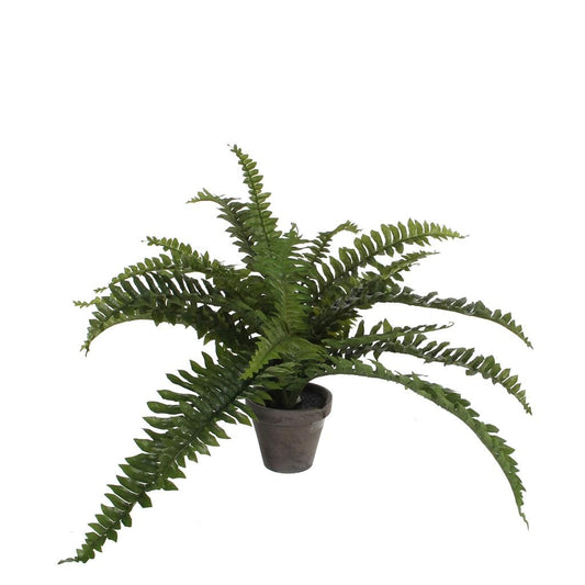  Mica Varen 35 Cm Groen