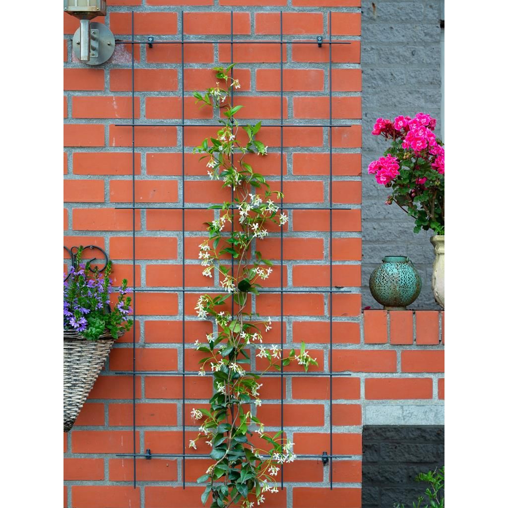  Nature Plantklimrek Metaal Groen 72,5 X 145 Cm