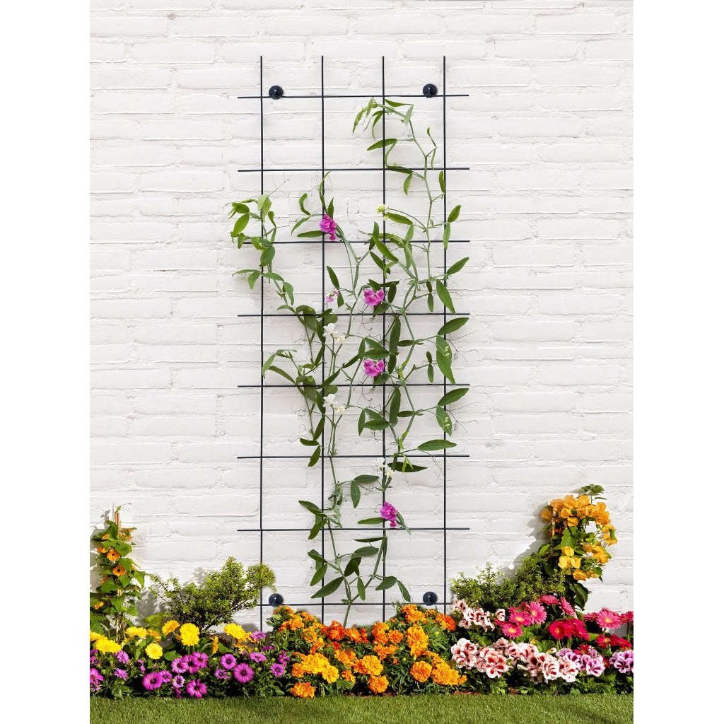  Peacock Trellis 60 X 150 Cm