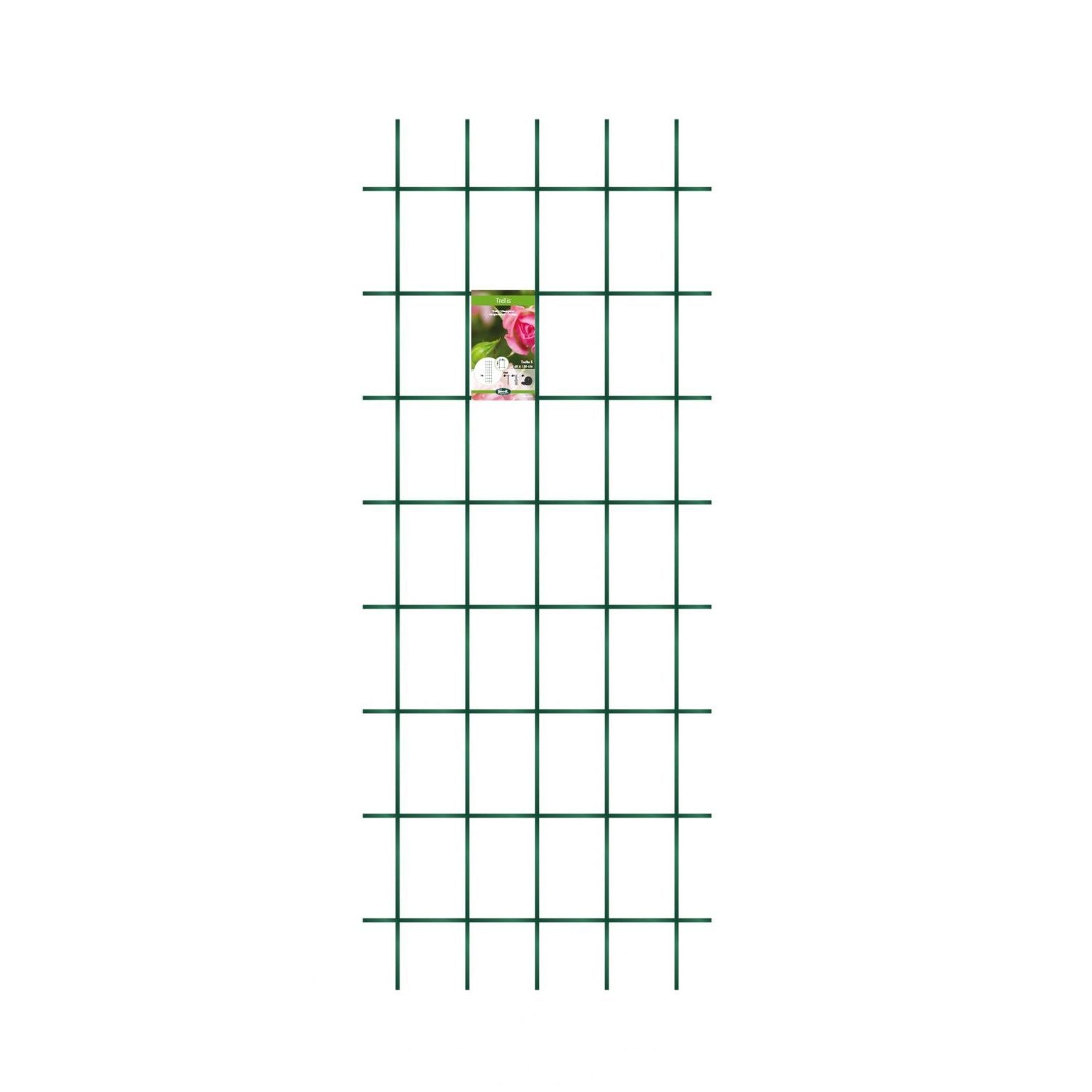  Peacock Trellis 60 X 150 Cm