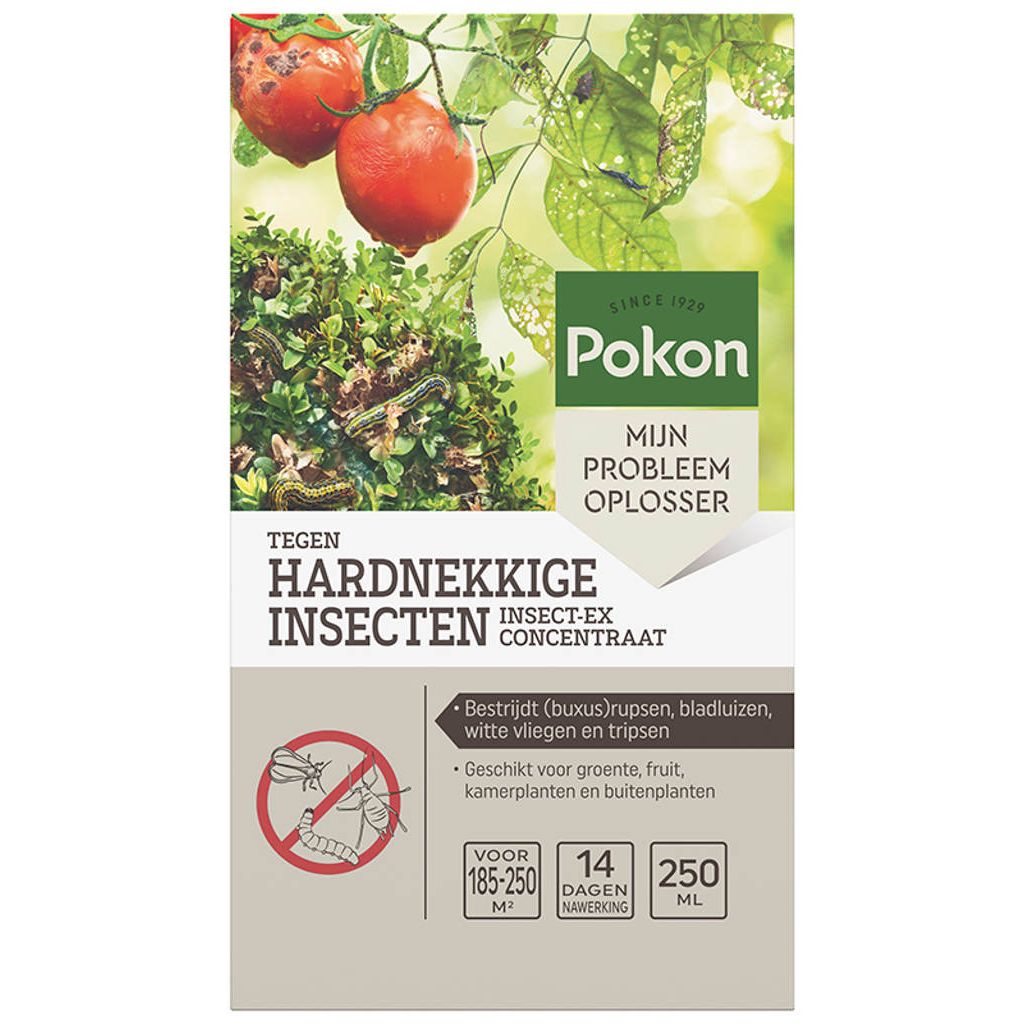  Pokon Hardnekkige Insecten 250 Ml