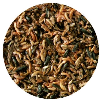  Velda Nature Fish Food 1250 Ml