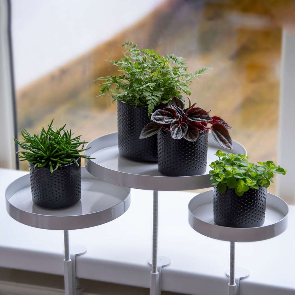 ESSCHERT DESIGN Vensterbankklem Met Plateau Wit M